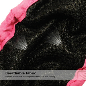 Pantalones cortos fisiológicos para perros y niñas, ropa interior para perros pequeños - Product Image 5