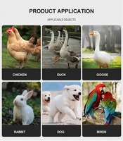 Cage pour animaux de poulailler à porte verrouillable en acier galvanisé durable à usage domestique pour poulets de pondeuse