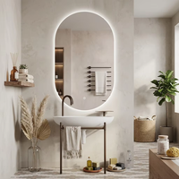 Miroir de salle de bain LED vertical à capsules, miroir rétroéclairé sans cadre anti-buée en option, miroir mural étanche IP44 anti-explosion