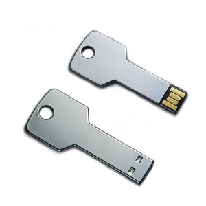 กุญแจ USB กุญแจ USB โลหะ อุปกรณ์เสริมแบบกำหนดเอง - Product Image 1