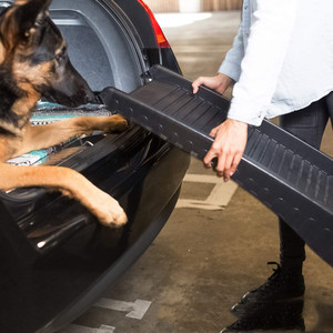 Vente chaude échelle pliante <span class=keywords><strong>pour</strong></span> animaux de compagnie <span class=keywords><strong>chien</strong></span> rampe échelle <span class=keywords><strong>chien</strong></span> pente anti-dérapant en plastique <span class=keywords><strong>chien</strong></span> <span class=keywords><strong>escalier</strong></span> - Product Image 2