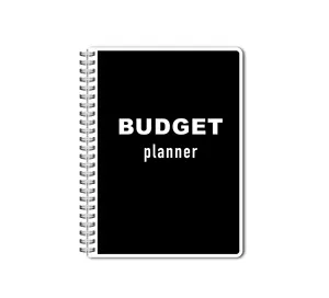 预算计划员组织者账单活页夹每周和每月贴纸财务书籍跟踪器每月日历