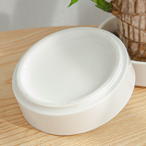 DD3172 décorations de bureau plateau de plantes <span class=keywords><strong>en</strong></span> <span class=keywords><strong>bois</strong></span> jardinière <span class=keywords><strong>en</strong></span> pot pot de fleurs <span class=keywords><strong>en</strong></span> céramique blanc brésilien <span class=keywords><strong>palette</strong></span> <span class=keywords><strong>en</strong></span> <span class=keywords><strong>bois</strong></span> soucoupe <span class=keywords><strong>en</strong></span> céramique - Product Image 3