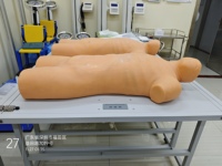 Maniquí de venopunción de PVC de función completa, modelo anatómico CPR Torso con características de inyección para fines de entrenamiento