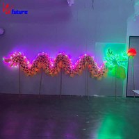 Costume de danse du dragon de taille étudiante avec lumière LED, nouveau design amusant pour le Nouvel An chinois, 9 mètres