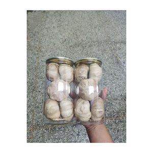 <span class=keywords><strong>Ail</strong></span> <span class=keywords><strong>noir</strong></span> séché, collation de légumes, produit de santé unique et très demandé pour usage domestique, faible en sucre, alimentation saine - Product Image 6