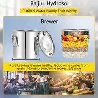 Équipement de distillation d'alcool pour éthanol, whisky, bière, eau, kits d'alcool pour usage domestique, distillateurs de brandy et whisky, machine de brassage maison