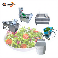 200kg/uur Wasmachine voor paarse kool, fruit, maïs en groentesalades met SUS 304 motor