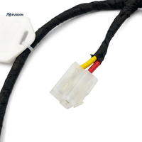 Arnés de Cables de Bajo Voltaje para Automoción con Conector de Bloqueo, Conjunto de Cables Multirramal, Suministro Personalizado