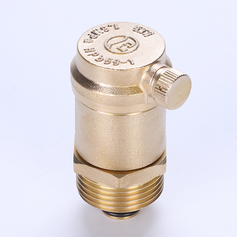 High quality brass automatic exhaust steam valve