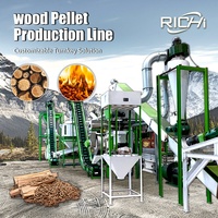 Ligne de production de granulés de bois professionnelle RICHI de haute qualité, certifiée CE, 5000 tonnes par mois, pour déchets de pin, fabriquée en Chine