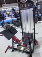 Équipement de gymnastique Pin Loaded Selection Strength Training Heavy-Duty Back Extension Machine for Professional Club