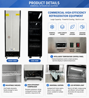 Nouvelle Vitrine Réfrigérée Verticale à Porte Unique en Acier Galvanisé Durable, Étagères Réglables, Température Unique,