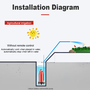 סוללת ליתיום מרחוק טעינה צולבת משאבה 12v 250w 0.33ph גבוהה זרימה גדולה <span class=keywords><strong>dc</strong></span> משאבה תת - Product Image 6