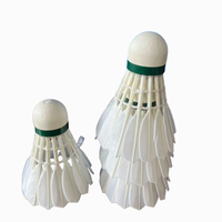 Raquette de badminton NO 6Natural Straight Feather, légère, stable, avec d'excellentes performances de vol, adaptée aux joueurs de club