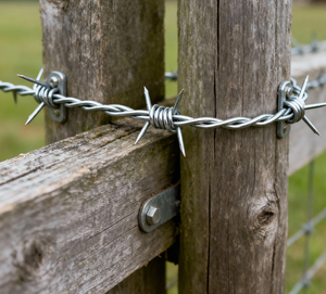 لفائف كونسرتينا ، الحديد المطلي بالبلاستيك المجلفن والحماية من الفولاذ المقاوم للصدأ - Product Image 4