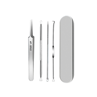 Kit d'extraction de points noirs portable en acier inoxydable, aiguille de précision pour l'extraction des points noirs, pinces, traitement de l'acné, soin du nez