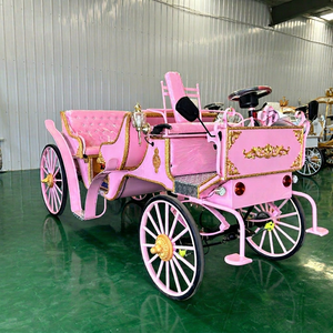 Calèche électrique à 4 roues pour mariages royaux et 4 à 6 personnes - Product Image 1
