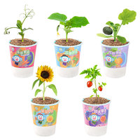 Creatieve trendy plantenbak voor op het bureau, mini-experiment voor het kweken van fruit en groenten, kleine potplanten, wortelen, tomaten, komkommers.
