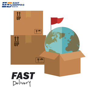 East Shipping Fournitures pour animaux de compagnie vers l'Europe International Express Chine Transporteurs DDP Porte à Porte Expédition vers l'Europe - Product Image 4