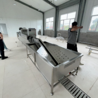 Ligne de production industrielle automatique pour le lavage, le nettoyage, le tri, l'inspection, le codage et la calibrage par poids des œufs frais