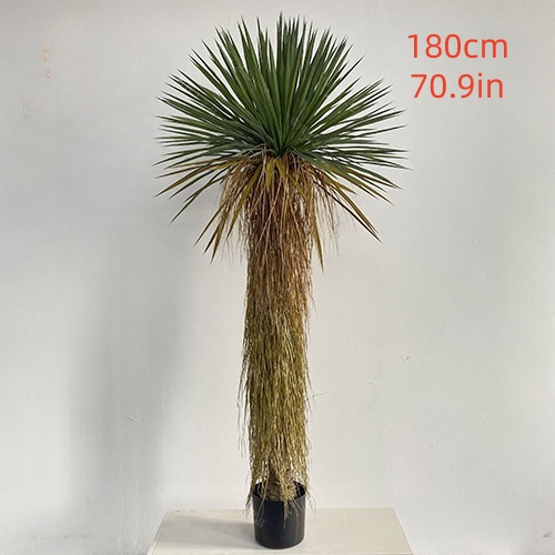 180cm/70.9in