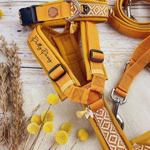 Lüks tasarımcı evcil hayvan yeleği y-koşum Boho Oem/Odm fabrika hiçbir ayarlanabilir kişiselleştirilmiş kedi koşum köpek tasması çekerek ve tasma seti - Product Image 2