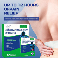 Patch Hydrogel Infrarouge Lointain Naturel pour Confort Corporel Quotidien et Soin Apaisant – Autocollants aux Extraits Botaniques – Vente Directe Usine OEM ODM