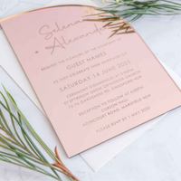 Enveloppes d'invitation de mariage personnalisées en velours beige, en plexiglas transparent givré, en acrylique, cartes RSVP dorées, impression dorée sur feuille pour