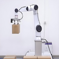 Lengan Robot Kolaboratif Industri Huayan S30 Beban Angkut 30kg 6 Axis Cobot PLC Motor Baja Tahan Karat untuk Palletizing Otomatis
