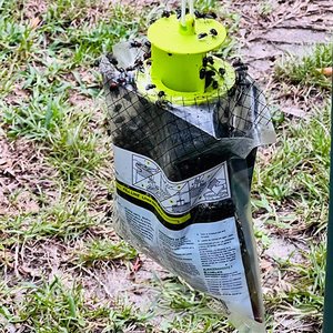 Eco-Friendly Disposable <b>Fly</b> Catcher Bag, No Pesticide Hanging <b>Fly</b> Trap for Organic Garden - Product Image 6