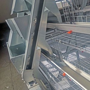 Equipo automático <span class=keywords><strong>de</strong></span> jaula para <span class=keywords><strong>pollos</strong></span> avícolas para <span class=keywords><strong>pollos</strong></span> - Product Image 2