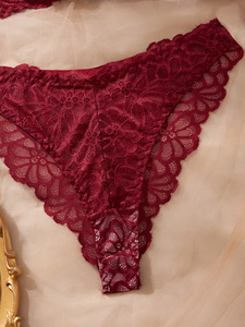 Floral Lace Womens Intimates <b>Sexy</b> Lingerie <b>Set</b> Sheer Mesh Underwire Bra and Thong Panties Elegant Womens Bra <b>Set</b> OEM ODM - Product Image 6