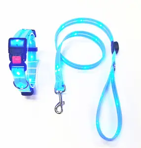 Laisse de chien en nylon LED rechargeable de Typc-C de prix usine pour la marche de nuit