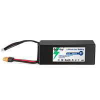 Batterie 22,2V 6S 5000mAh 30C LiNiMnCoO2 XT60 10AWG Haute Capacité, 800 Cycles de Vie, pour Drone de Photographie Aérienne et Vols Longue Durée