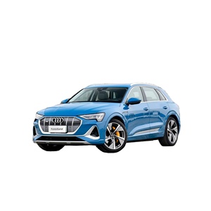Para Audi <span class=keywords><strong>quattro</strong></span> EV, motor dual potente, sonido B&O, venta al por mayor a concesionarios de automóviles africanos - Product Image 1
