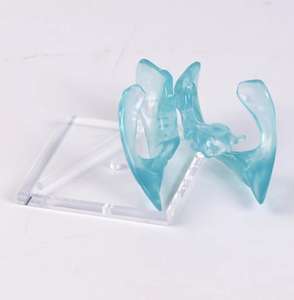 แบบจำลองสมองโปร่งใสสำหรับการศึกษาทางวิทยาศาสตร์การแพทย์ แสดงโครงสร้างกายวิภาคของสมอง ผลิตจากวัสดุ PVC คุณภาพสูงสำหรับการแพทย์ - Product Image 2