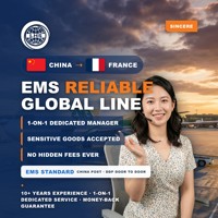 Agent logistique aérien express LHS EMS Chine-France, fret aérien, fret maritime, fret express, DDP, DAP, meilleur service à prix compétitif