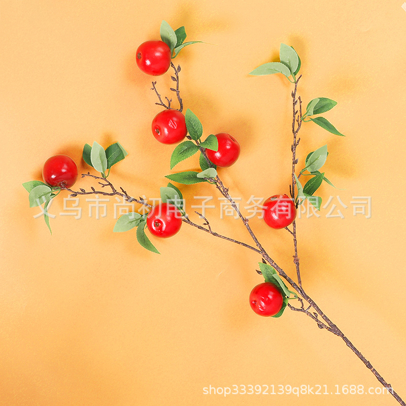 7 pommes rouges