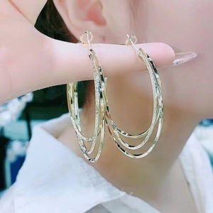 Anting Lingkaran Logam untuk Remaja, Anting Hoop Trendi dan Ekstravagan, Aksesoris Hoop Sederhana untuk Grosir N94284 - Product Image 6