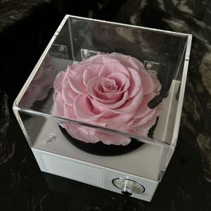 Tocadiscos Romántico con Rosas Eternas, Altavoz Bluetooth Mecánico Giratorio, Rosas Preservadas, Música Ecológica - Product Image 3