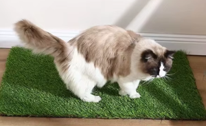 Alfombra Refrescante para Mascotas de Verano, Diseño Nuevo, Máxima Comodidad, Transpirable, de Seda de Hielo, Manta para Perros y Gatos - Product Image 5