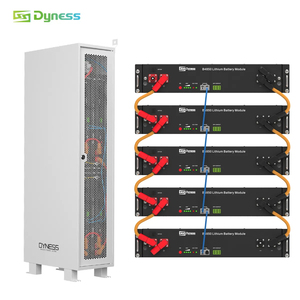 Baterías de Litio <span class=keywords><strong>Dyness</strong></span> <span class=keywords><strong>B4850</strong></span> de 48 V y 50 Ah, 2.5 kVA, Batería LifePO4 de 2.4 kWh para Montaje en Pared, para Electricidad Doméstica - Product Image 2