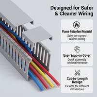 Canalina di Cablaggio in PVC Grigio di Precisione con Fessure Sottili 40x30mm per Segregazione Cavi in Armadi di Apparecchiature Lattiero-Casearie, per Ingegneria e Approvvigionamento