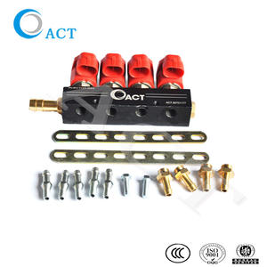 ชุดแปลงระบบเชื้อเพลิงก๊าซธรรมชาติ (CNG/LPG) สำหรับรถยนต์ 4 สูบ พร้อมรางหัวฉีดก๊าซธรรมชาติ (<span class=keywords><strong>NGV</strong></span>) - Product Image 2