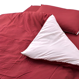 Handige, omkeerbare beddengoedset met multi-look, omkeerbaar ontwerp, voor gastenkamer, tijdelijke stijlverandering - Product Image 3
