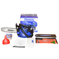 Mini Tronçonneuse à Essence Professionnelle Démarrage Facile 25.4cc CS2500 12'' Guide Poignée Supérieure Scie à Chaîne DIY TUV CE Euro V