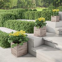 Kits de propagateurs carrés en 3 pièces pour jardin - Pots en argile fibreuse aspect bois rustique émaillé avec trous de drainage pour les herbes (bleu ciel) Utilisation domestique