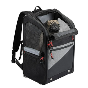 <span class=keywords><strong>Mochila</strong></span> conveniente e impermeable <span class=keywords><strong>para</strong></span> mascotas de motocicleta, se puede fijar <span class=keywords><strong>en</strong></span> la parte trasera de motocicletas grandes, <span class=keywords><strong>para</strong></span> transportar mascotas como perros. - Product Image 5