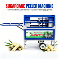 Fabrieksdirect verkoop RVS suikerriet schilmachine Volledig automatische suikerriet schilmachine voor fruit en groenten